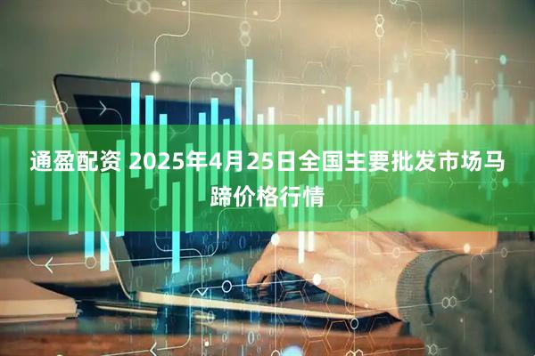 通盈配资 2025年4月25日全国主要批发市场马蹄价格行情