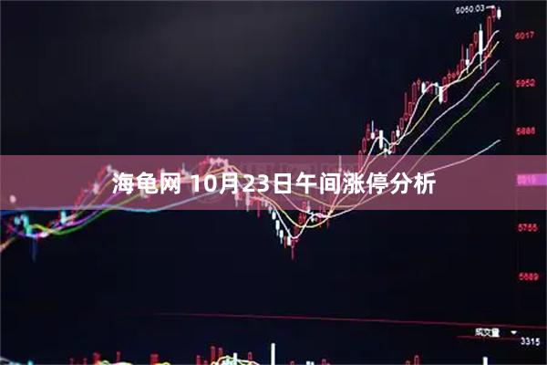 海龟网 10月23日午间涨停分析