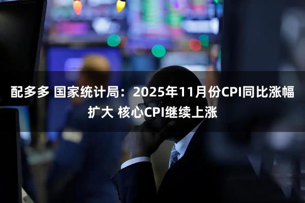 配多多 国家统计局:2025年11月份CPI同比涨幅扩大 核心CPI继续上涨
